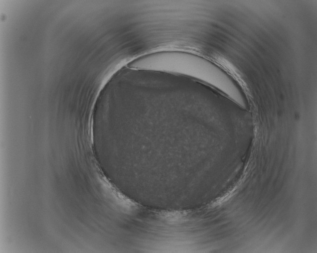 X0000066530892200603311817