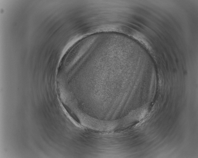 X0000066530894200603311817