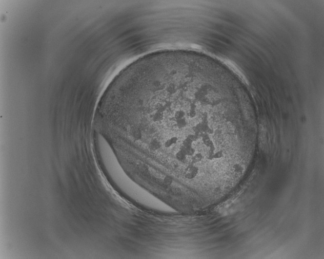 X0000066530895200603311817