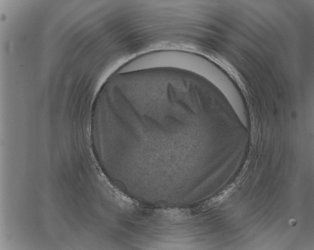 X0000066530896200603311817