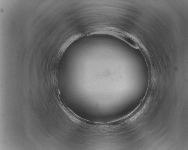 X0000066530897200603311817