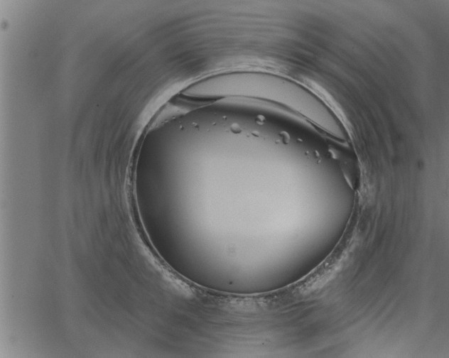 X0000066530901200603311817