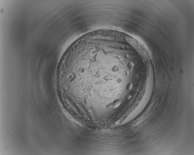 X0000066530903200603311817