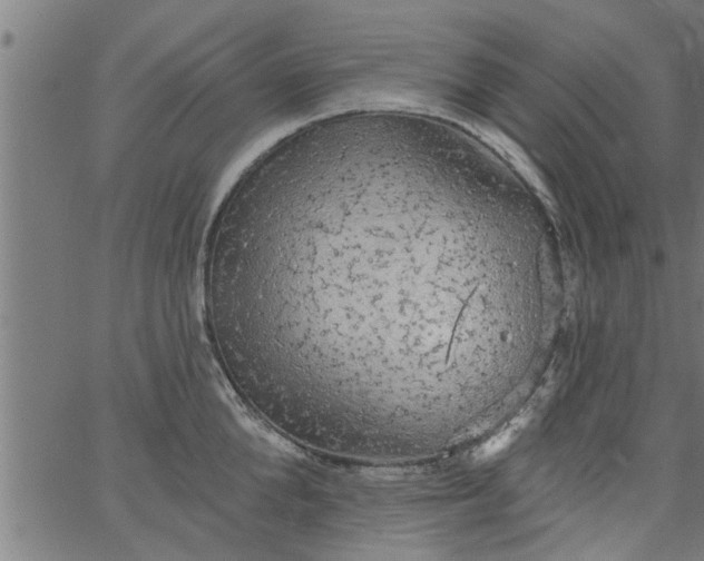 X0000066530904200603311817