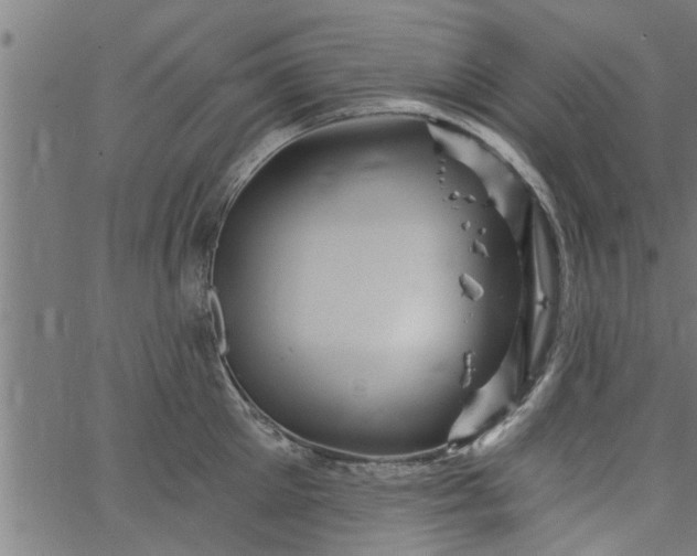 X0000066530905200603311817