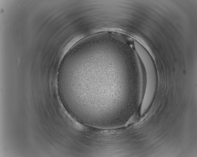 X0000066530906200603311817