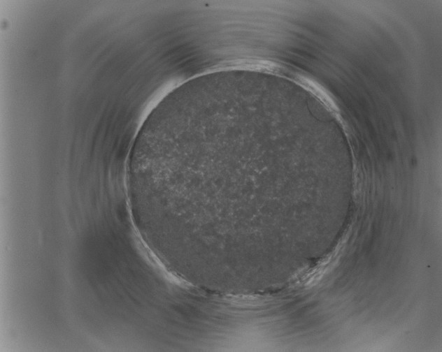 X0000066530907200603311817