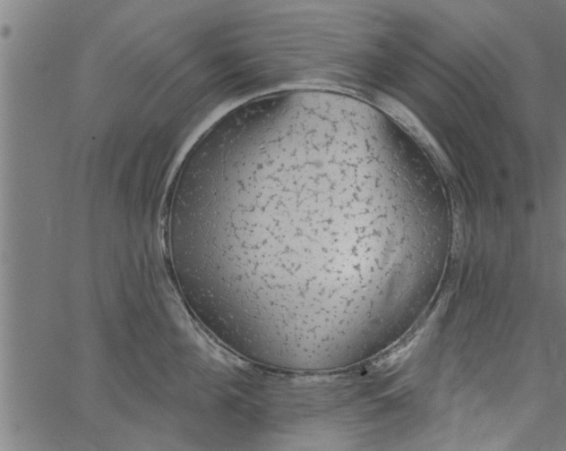 X0000066530908200603311817