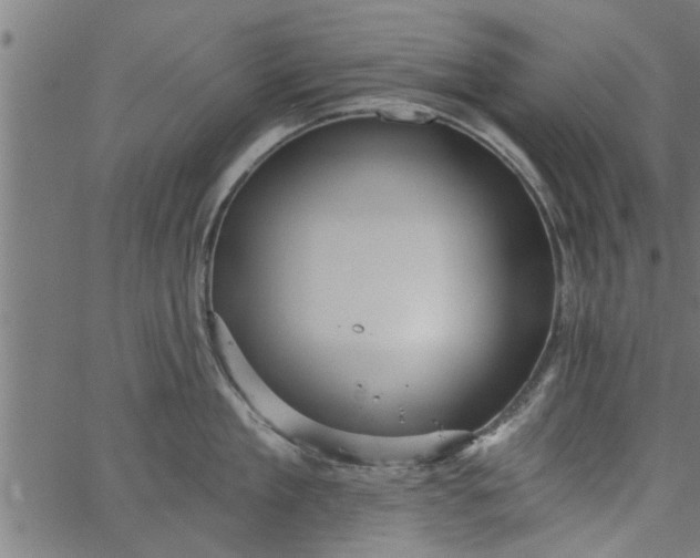 X0000066530909200603311817