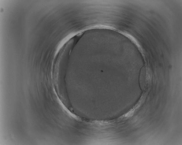 X0000066530910200603311817