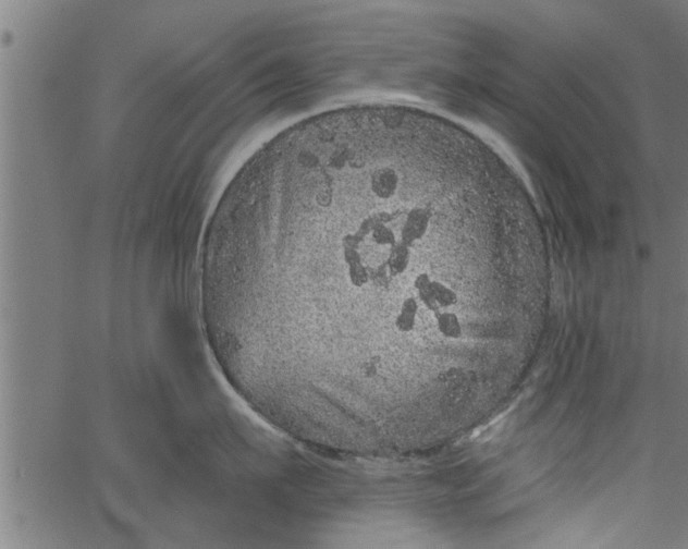 X0000066530911200603311817