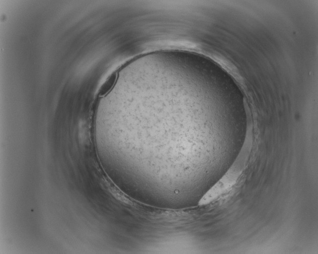 X0000066530912200603311817