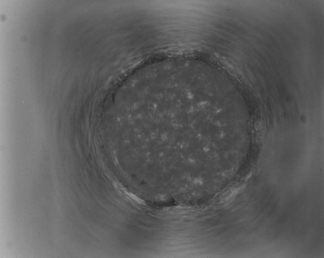 X0000066530913200603311816