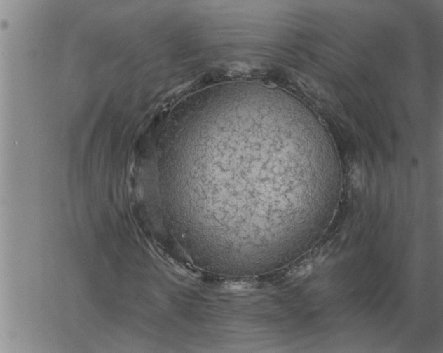 X0000066530914200603311816