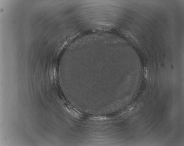 X0000066530915200603311816