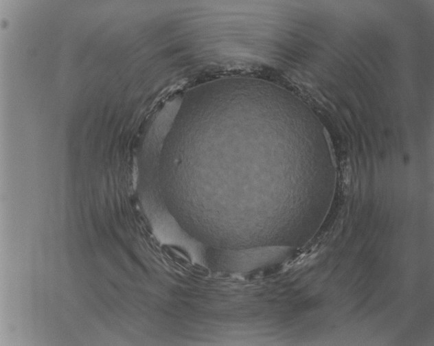 X0000066530916200603311816