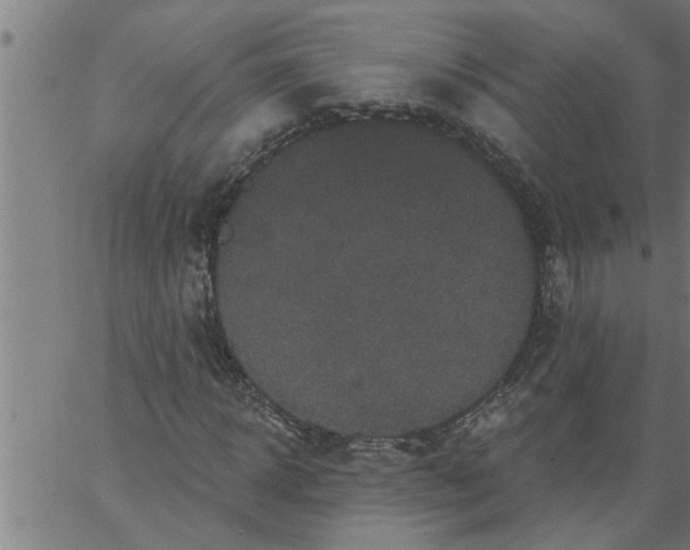 X0000066530918200603311816