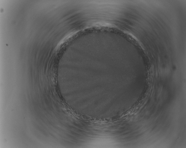 X0000066530919200603311816