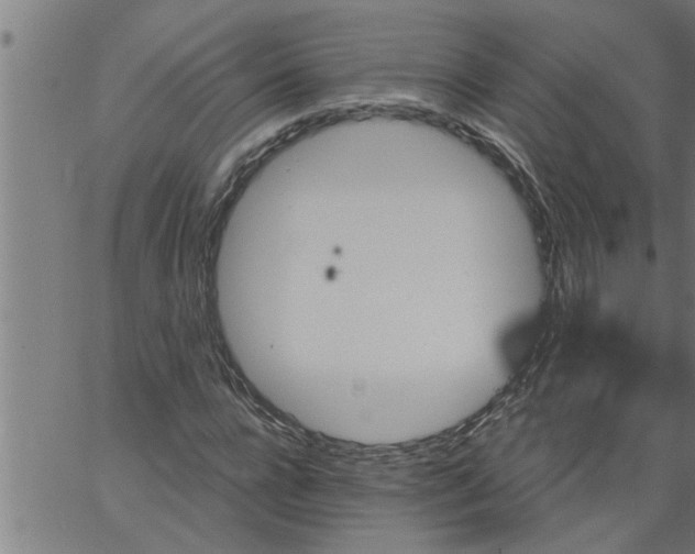 X0000066530920200603311816