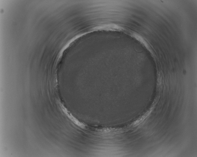 X0000066530923200603311816