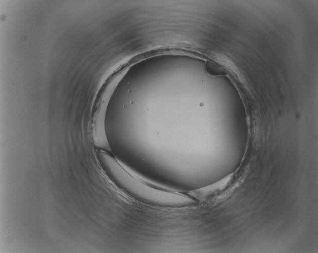 X0000066530924200603311816