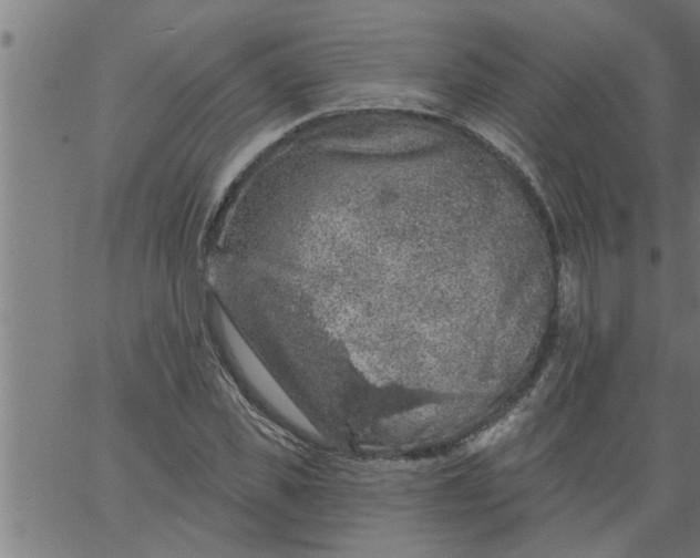 X0000066530925200603311816