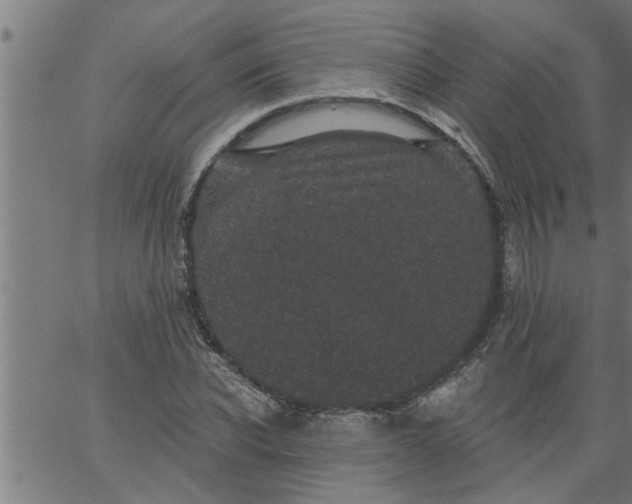 X0000066530926200603311816