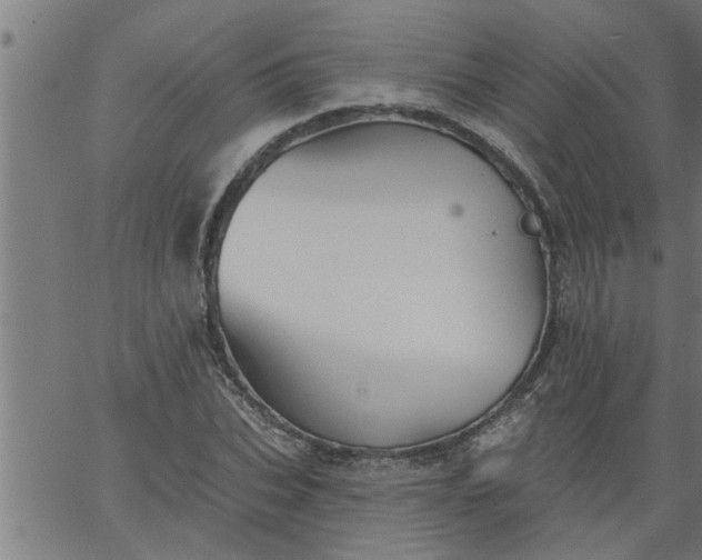 X0000066530927200603311816