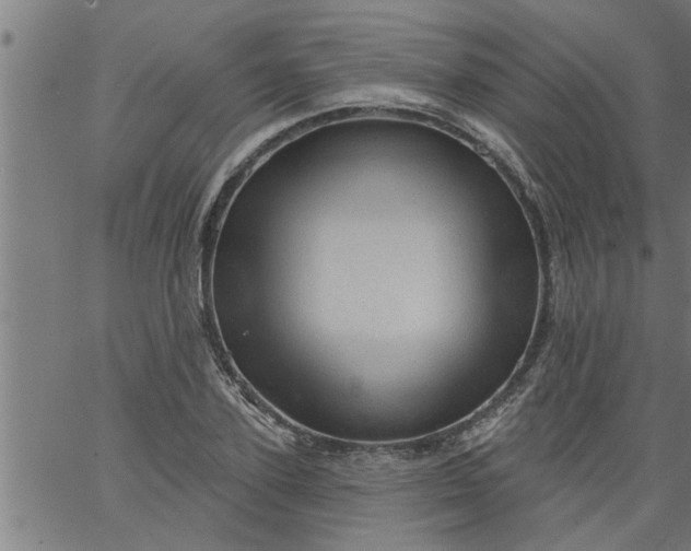 X0000066530931200603311816