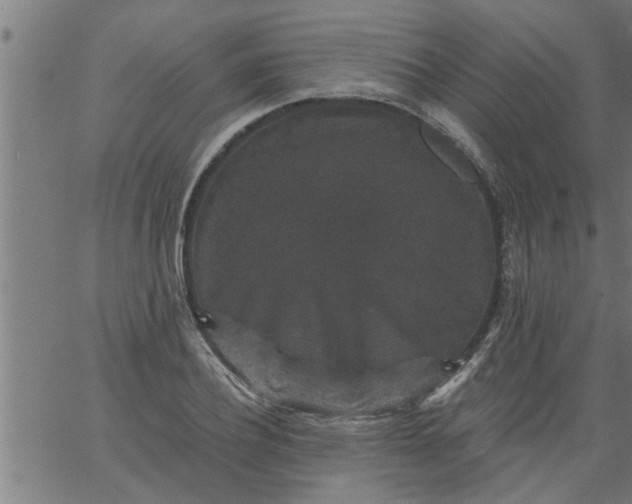 X0000066530932200603311816