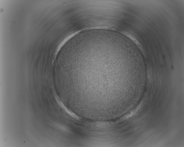 X0000066530933200603311816