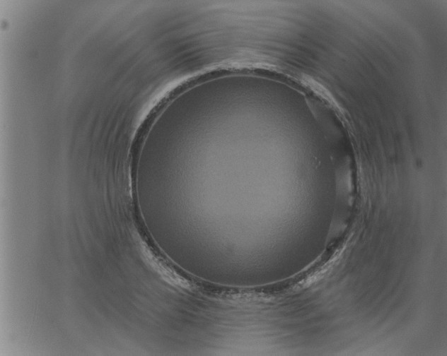 X0000066530934200603311816