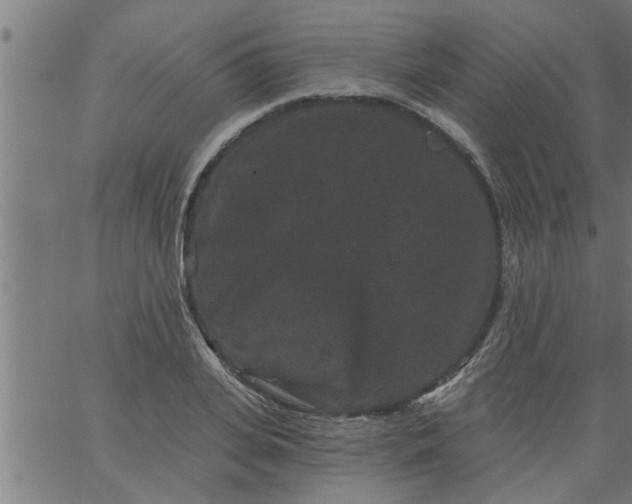 X0000066530935200603311816