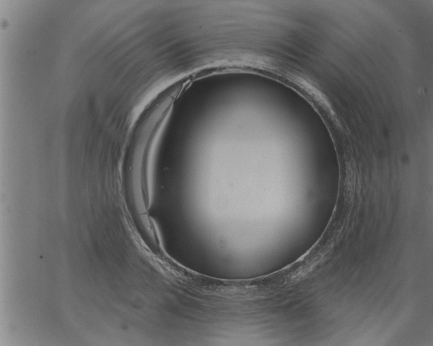 X0000066530936200603311816