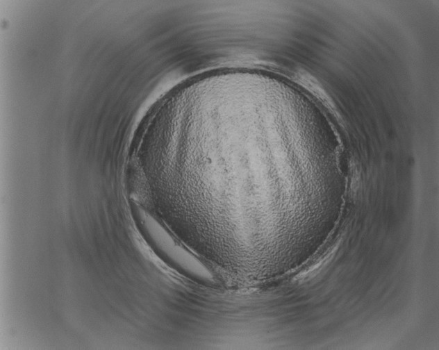 X0000066530939200603311816