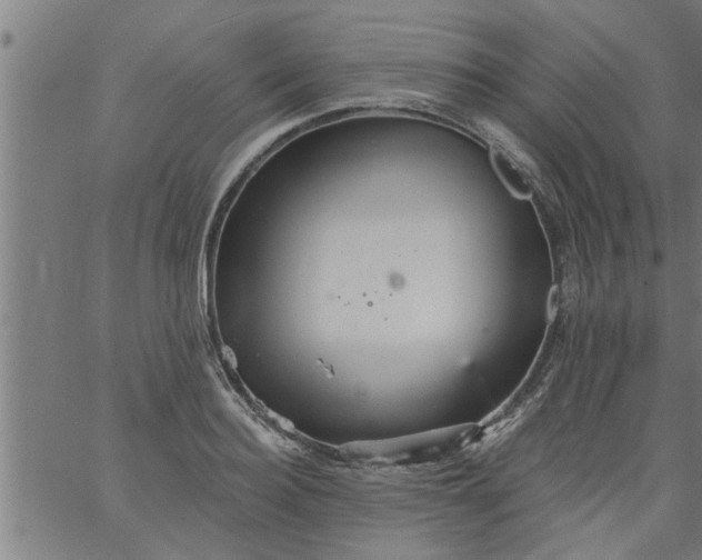 X0000066530940200603311816