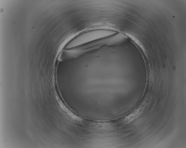 X0000066530941200603311816