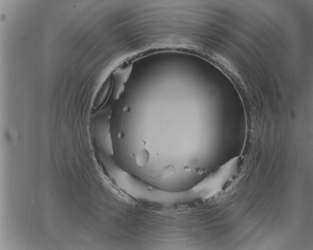 X0000066530942200603311816