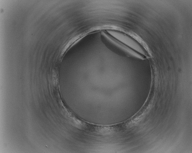 X0000066530945200603311816