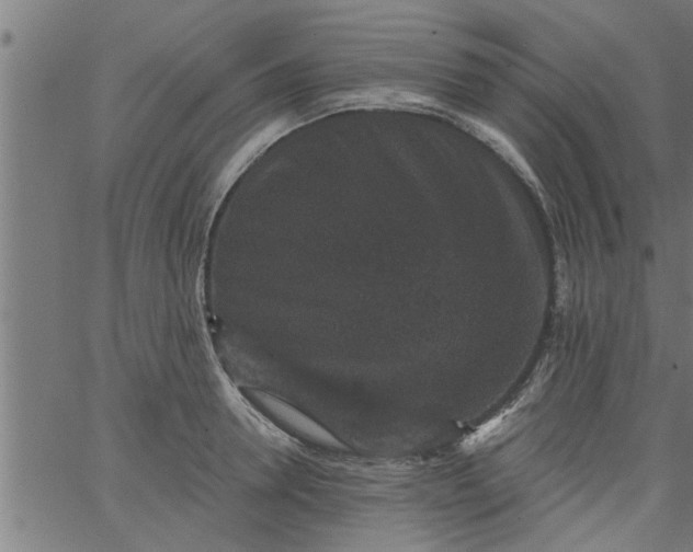 X0000066530946200603311816