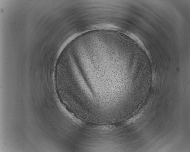 X0000066530947200603311816