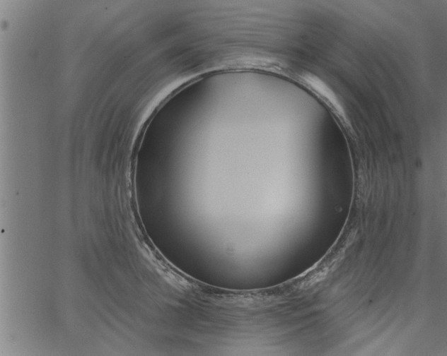 X0000066530948200603311816