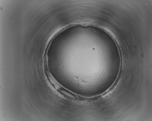 X0000066530949200603311816