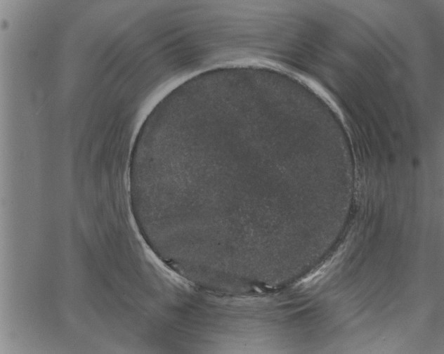 X0000066530951200603311816