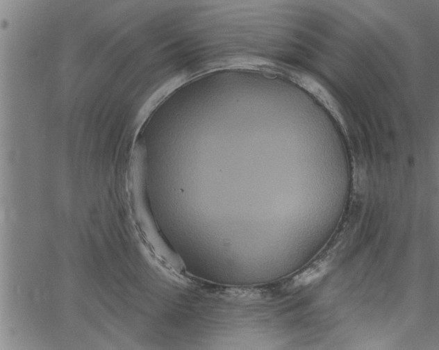 X0000066530954200603311816