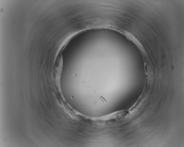 X0000066530956200603311816