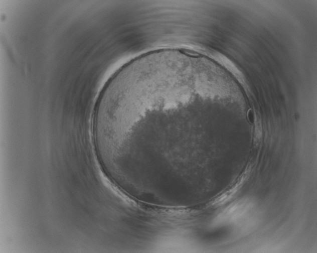 X0000066530958200603311816