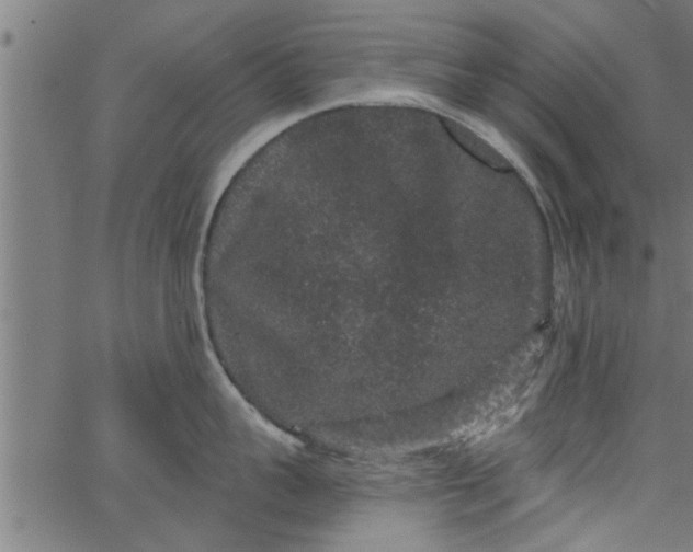 X0000066530959200603311817