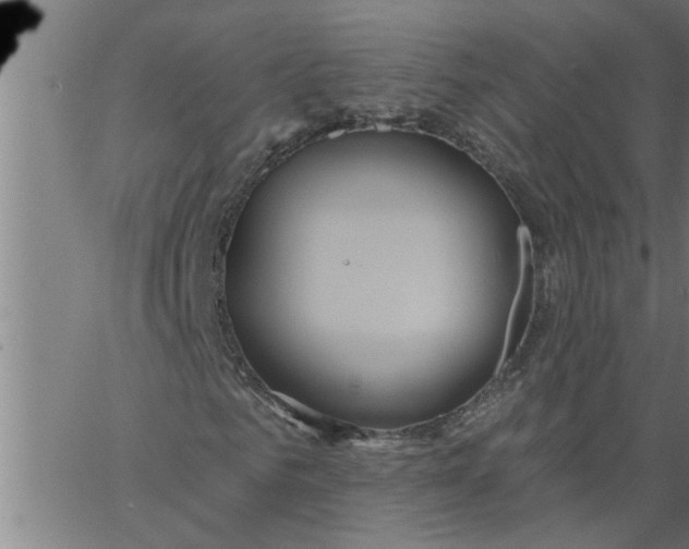 X0000066530961200603311816