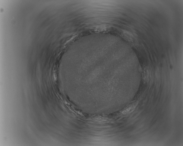 X0000066530962200603311816